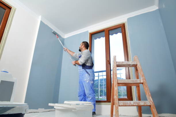 Best Exterior Painting  in Forest View, IL